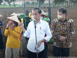 Hujan Rintik, Jokowi Tanam Jagung Bareng Petani di Jeneponto Sulsel