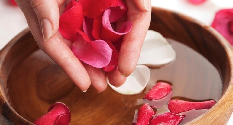 MANFAAT LAIN DARI AIR MAWAR JADI TONER Memanfaatkan air mawar jadi toner bisa meningkatkan kecantikan wajah secara alami bahkan awet muda. Simak tips menggunakan air mawar jadi toner dan khasiatnya.