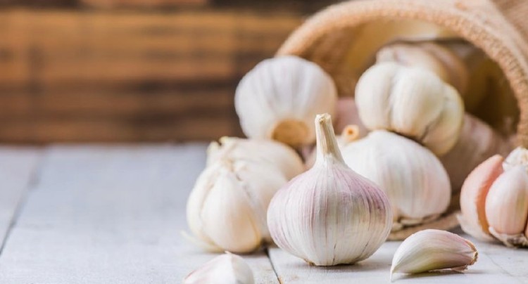CARA MEMBASMI ULAT PADA TANAMAN: PAKAI BUMBU DAPUR Tanaman Bunda habis dimakan ulat? Duh, pasti kesal ya, Bunda. Yuk ikuti cara membasmi ulat pada tanaman dengan menggunakan produk rumahan, Bun.