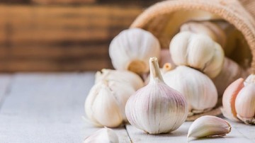 CARA MEMBASMI ULAT PADA TANAMAN: PAKAI BUMBU DAPUR