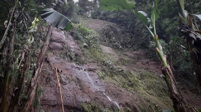 Sejumlah tempat di kawasan Denpasar dan Badung mengalami bencana banjir, pohon tumbang, hingga tanah longsor saat hujan melanda Bali sejak dini hari tadi.