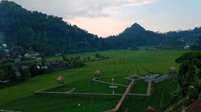 Desa Muncar, satu dari 14 desa binaan Astra melalui Desa Sejahtera Astra (DSA) dikenal sebagai desa penghasil kopi berkualitas dan punya potesni wisata alam.