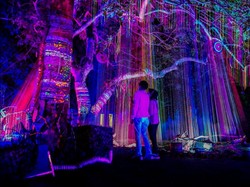 Erick Thohir: Hutan Menyala Bandung Itu...