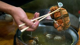 Kata Chef Soal Lobster dan Kepiting Tak Boleh Direbus Hidup-hidup