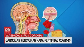 VIDEO: Parosmia dan Phantosmia Pada Penyintas Long Covid