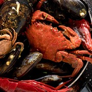 Para Ahli Melarang Keras Lobster dan Kepiting Direbus Hidup-hidup! Lho, Kenapa?