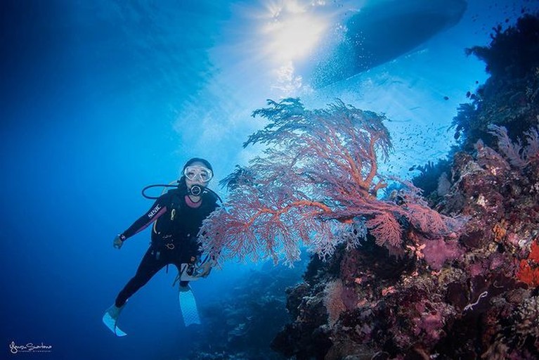 7 Potret Gisella Anastasia Pamer Tato Saat Liburan di Pulau Maratua Baru-baru ini Gisella membagikan momen liburannya di pulau Maratua Kalimantan Timur. Yuk kita intip potretnya!
