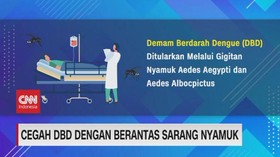 VIDEO: Cegah DBD Dengan Berantas Sarang Nyamuk