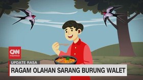 VIDEO: Ragam Olahan Sarang Burung Walet