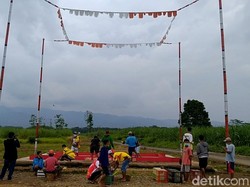 Didatangi Polisi, Lomba Kolong Merpati Pekalongan Ini Ternyata...