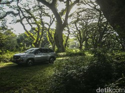 Wuling Almaz Kalahkan CR-V, Ini SUV Medium Terlaris 2021