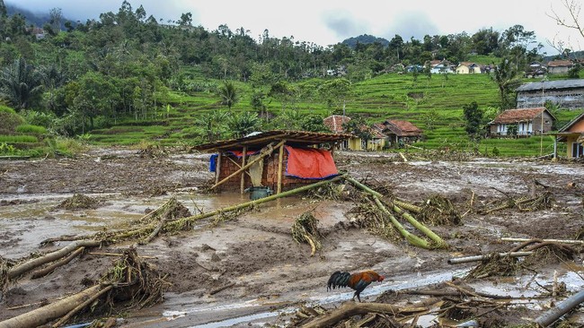BNPB melaporkan sebanyak 3.702 warga dan 1.156 rumah terdampak akibat banjir dan tanah longsor di Kabupaten Garut, Jawa Barat.
