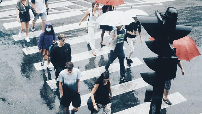 Sedia Payung Sebelum Hujan, Ini 16 Essential Oil Wajib Ada di Rumah untuk Atasi Berbagai Masalah Kesehatan di Musim Hujan