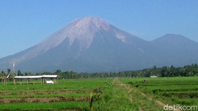 Mother Unable to Walk, 28-Year-Old Woman Chooses to Accompany During the Semeru Eruption Until She Dies Hugging