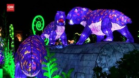 VIDEO: Indahnya Pajangan Lampu Natal Tema Makhluk Prasejarah
