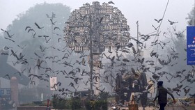 FOTO: Lahore Pakistan, Kota dengan Polusi Terparah di Dunia