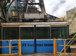Sudah Kempit 51%, RI Mau Tambah 10% Saham di Freeport