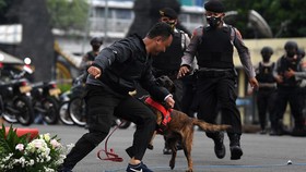 FOTO: Unjuk Gigi Tim Patroli Perintis Presisi Polda Metro Jaya
