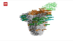 VIDEO: Gambar 3D Mutasi Spike Protein Varian Omicron