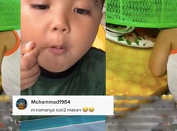 Bikin Ngakak! Demi Bisa Curi Makanan, Bocah Ini Ngumpet di Tudung Saji