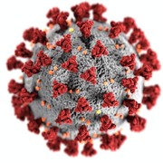 Genap 2 Tahun Sejak Pertama Kali Diumumkan, Ini Perjalanan Kasus Virus Corona di Indonesia