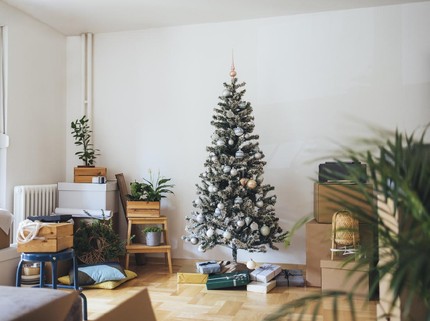 7 Tempat Terburuk Meletakkan Pohon Natal Menurut Pakar, Waspada Bisa Berbahaya Bun!