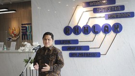 Imbas Krisis Batu Bara, Erick Thohir Pecat Direktur PLN