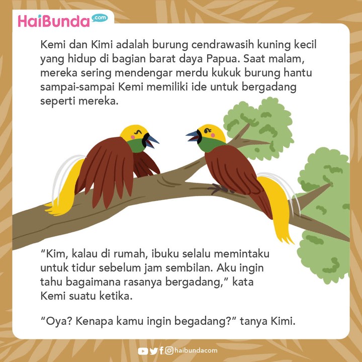 Komik Kemi dan Kimi