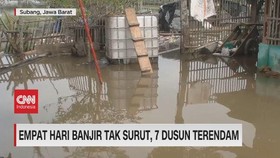 VIDEO: Empat Hari Banjir Tak Surut, 7 Dusun Terendam