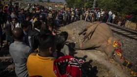 FOTO: 2 Gajah Liar di India Mati Ditabrak Kereta Api