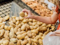 Bukan di Kulkas! Ini Tempat Ideal Menyimpan Kentang agar Awet Segar