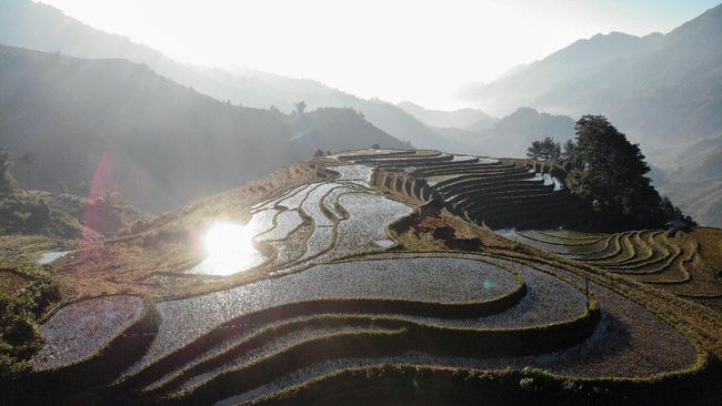 Distrik Mu Cang Chai terkenal sebagai destinasi wisata persawahan. Namun saat ini, kawasan tersebut masih sepi turis, baik lokal maupun internasional.