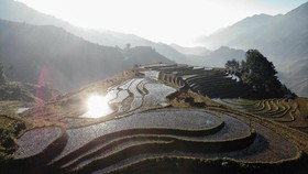 FOTO: Menyapa Pagi dari Sawah Vietnam