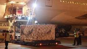 Baru Tiba, 336.960 Dosis Pfizer Langsung Didistribusi ke Dinkes Jatim