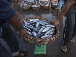 3 Fakta Desa Tomalou Tidore, Kampung Nelayan yang Punya Teknik Mancing Huhate