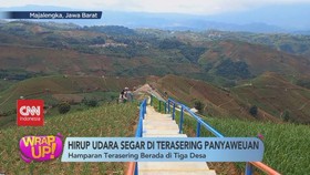 VIDEO: 