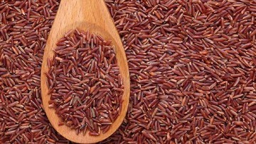 BERAS MERAH KAYA AKAN SERAT, SELENIUM, DAN DAPAT MENJADI SUMBER ENERGI