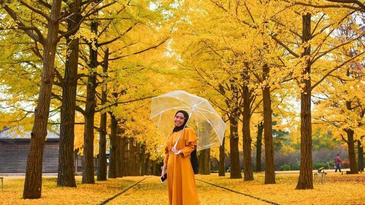 Inka, Wanita RI yang Cerita Pengalaman Melahirkan di Jepang