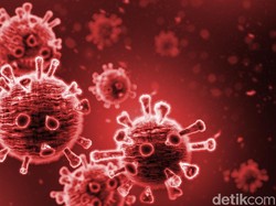 Sesuai Prediksi, Epidemiolog Tak Kaget RI Temukan Kasus Pertama Omicron