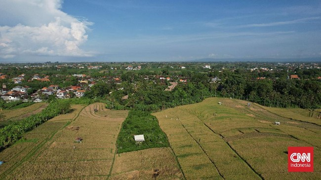 FOTO: Piknik Pagi ke Persawahan Canggu Bali
