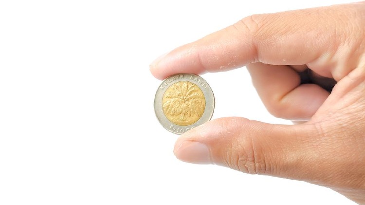 The hand of a man holds ancient coins from Indonesia from 1000 rupiah. Coins made in 1996 with palm oil trees