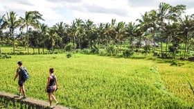 Tangis Warga Tetebatu NTB Gagal Raih Gelar Desa Wisata Terbaik