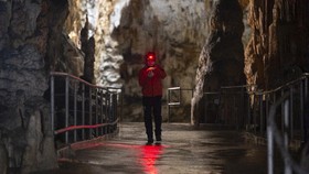 Mengunjungi 'Bayi Naga' di Gua Postojna Slovenia