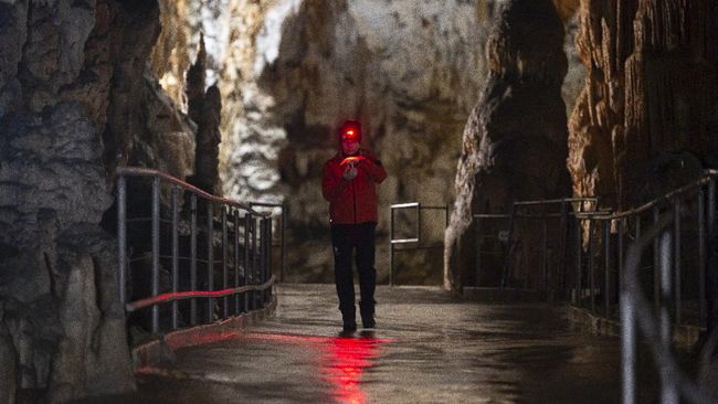 Di dalam gua di Slovenia sepanjang 24 kilometer, terdapat 'bayi naga' yang bisa hidup hingga 100 tahun.