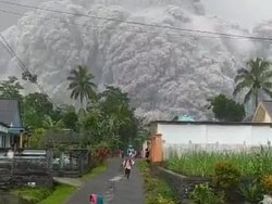 BNPB Imbau Warga Terdampak Erupsi Gunung Semeru Tenang-Tak Termakan Hoax