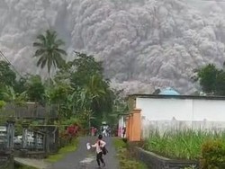 BNPB: Belum Ada Laporan Korban Erupsi, Gunung Semeru Masih Tertutup Kabut