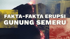 INFOGRAFIS: Deret Fakta Erupsi Gunung Semeru