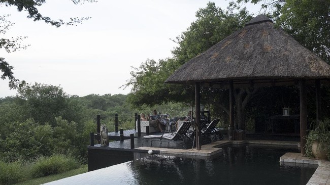 FOTO: Sepi dan Hampa Pondok Safari Afsel karena Omicron