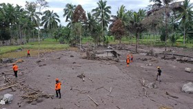FOTO: Berjibaku Mencari Korban Hilang Erupsi Semeru