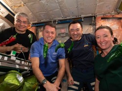 Cabai Luar Angkasa NASA Pecahkan Rekor